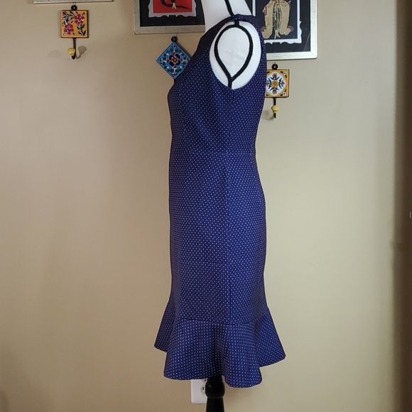 J. Crew blue polka dot sleeveless dress. - Picture 2 of 7